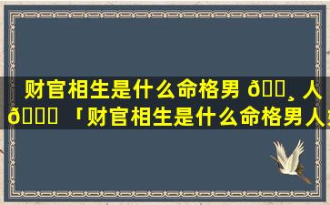 财官相生是什么命格男 🌸 人 🐛 「财官相生是什么命格男人好不好」